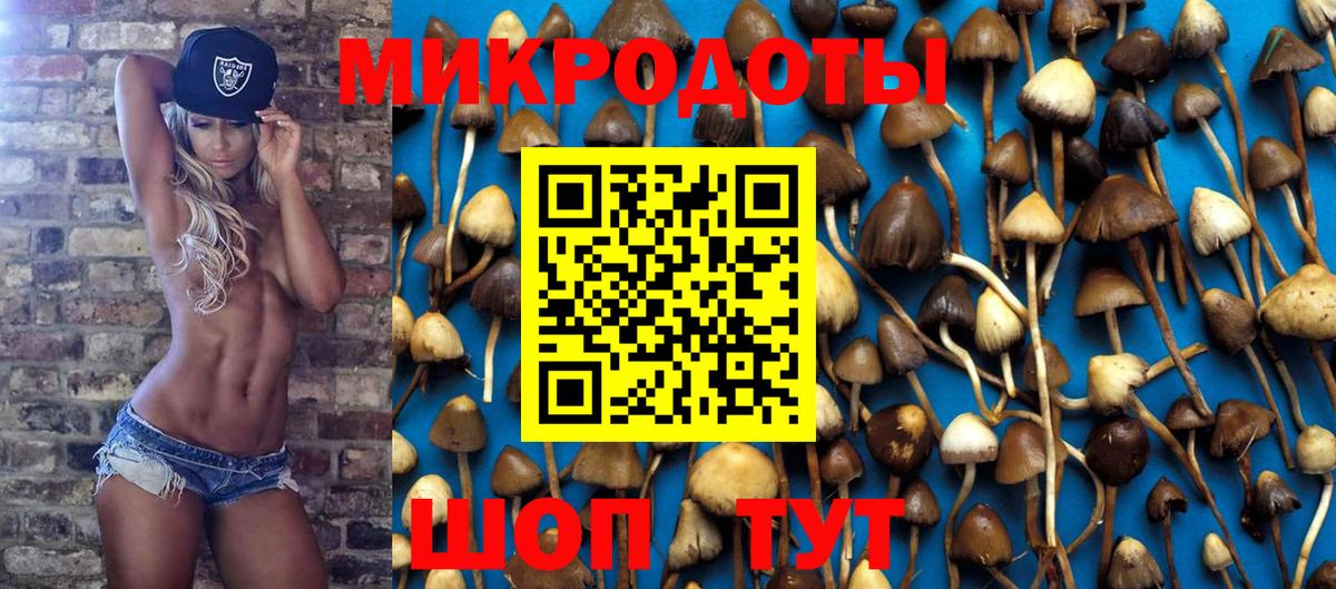 Галлюциногенные грибы Psilocybe Миллерово