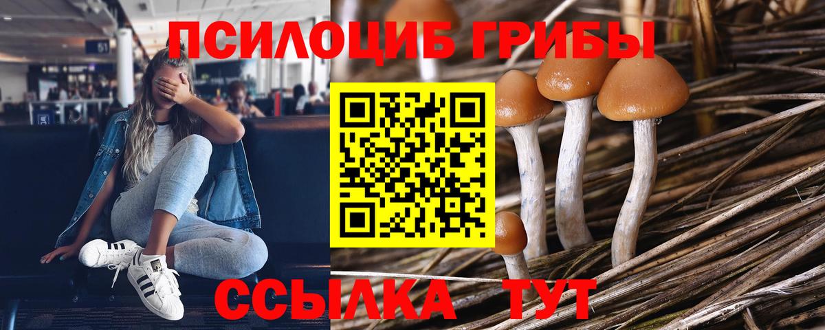 Миллерово  Галлюциногенные грибы MAGIC MUSHROOMS  Вход с VPN 
