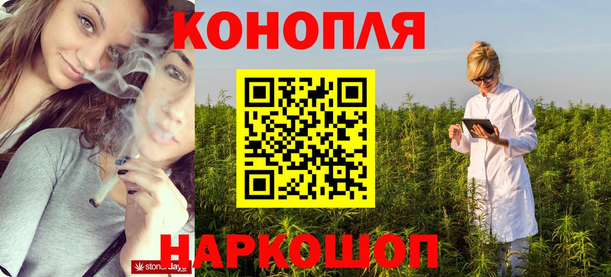 Каннабис планчик  Вход с VPN  Миллерово  Марихуана Ganja  Бошки Шишки Ganja  Бошки марихуана сатива 